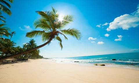 A Caribbean yacht charter is the ideal way to discover new destinations such as this white sand palm-fringed beach
